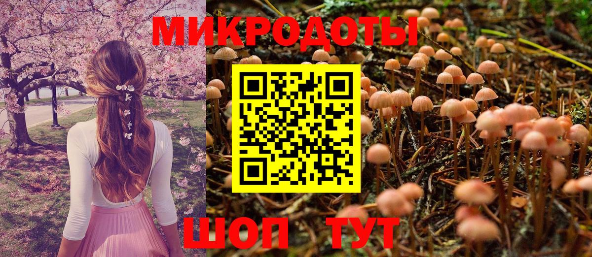 Галлюциногенные грибы мухоморы Кашира